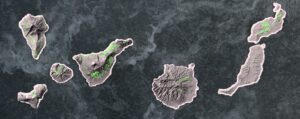 Map of the Canary Islands showing areas planted with grape vines