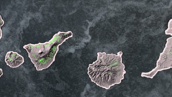 Map of the Canary Islands showing areas planted with grape vines