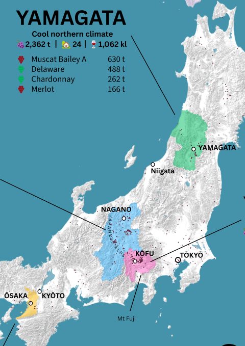Japan Wine Map - Image 6