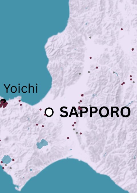 Japan Wine Map - Image 5