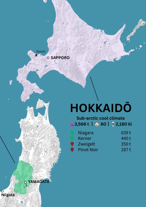 Japan Wine Map - Image 7